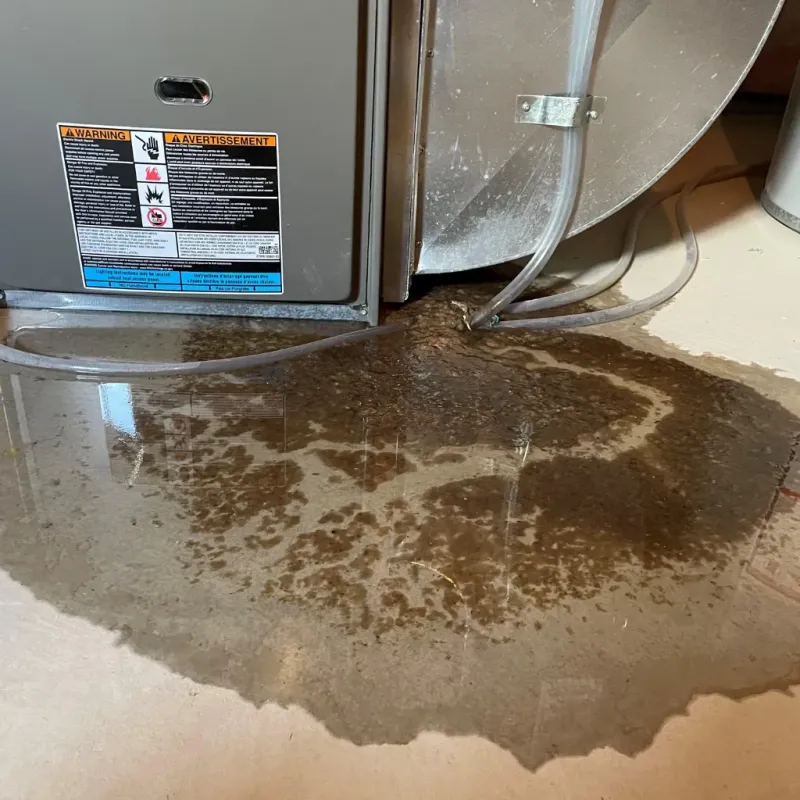 Appliance Leak Cleanup in Sharon Springs, KS