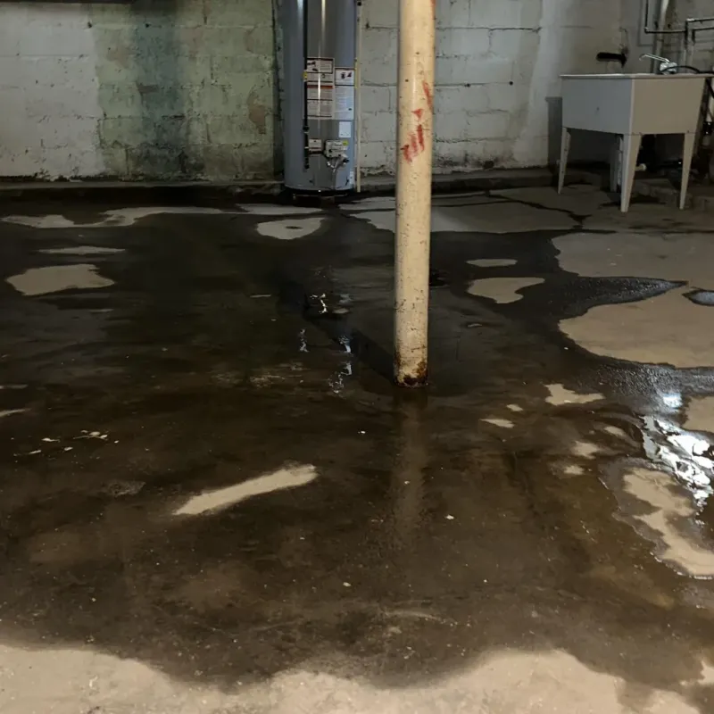 Emergency Water Extraction And Removal in Sharon Springs, KS